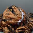 Lulu Home Inflatable T-Rex Costume for Boys Girls Dinosaur Themed Party Trick or Treat Activity (Small, Brown)