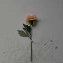 Elements Blush Peony Artificial Flower Stem, Fake Flowers for Home Decoration, 6x3.5x18 Inch