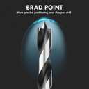 Metric Brad Point Wood Drill Bit Set, 12Pcs Drill Bit Set with Double Flutes Design for Carpenter Woodworking and All Types of Wood (3mm - 12mm)