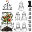 6 Pack Garden Cloche Plant Protectors from Animals, Adjustable 3-Tier Chicken Wire Plant Cages for Outdoor Plants, Stackable Metal Garden Cloches Keep Rabbits, Squirrels & Birds Away, 17.3" x 11.4"