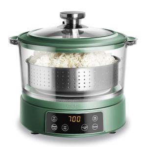 COOK WITH COLOR Glass Mini Low Carb Rice Cooker – Holds 2 Cups Raw/Makes 6 Cups Cooked with Auto Lift Filter Basket, Hotpot & Steamer for Rice, Grains, Digital Panel with Keep Warm, Dark Sage