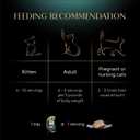 Sheba Perfect Portions Wet Cat Food Cuts in Gravy, Tender Trout Entree, 2.6 oz. Twin-Pack Trays (24 Count, 48 Servings) (EXP 09/18/27)