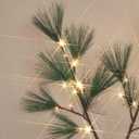 Hairui Lighted Christmas Pine Tree with Lights 4FT 36 Warm White LED Lights, Tree with Lights for Room Thanksgiving Christmas Holiday Decoration Indoor Outdoor