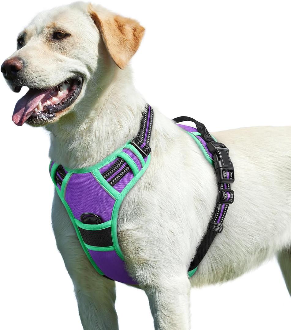 Eagloo Dog Harness for Large Dogs, No Pull Service Vest with Reflective Strips and Control Handle, Adjustable and Comfortable for Walking, No Choke Pet Harness with 2 Metal Rings, Purple & Green, Large