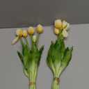15 pcs Cream Tulips Artificial Flowers Faux Tulips Real Touch Latex Fake Flower Bouquet for Spring Wedding Home Décor Centerpiece Arrangements