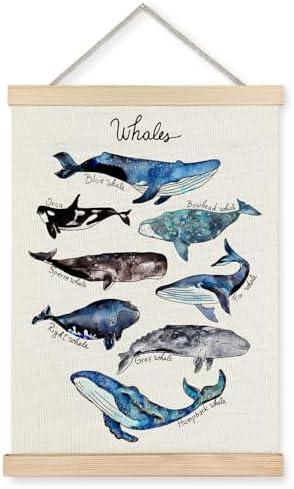 Supwhd Shark Wall Decor, Shark Beach Wall Art for Classroom Nursery Coastal House Beachy Room, Beach Ocean Posters, Nursery Ocean Wall Decor Framed, 12x16