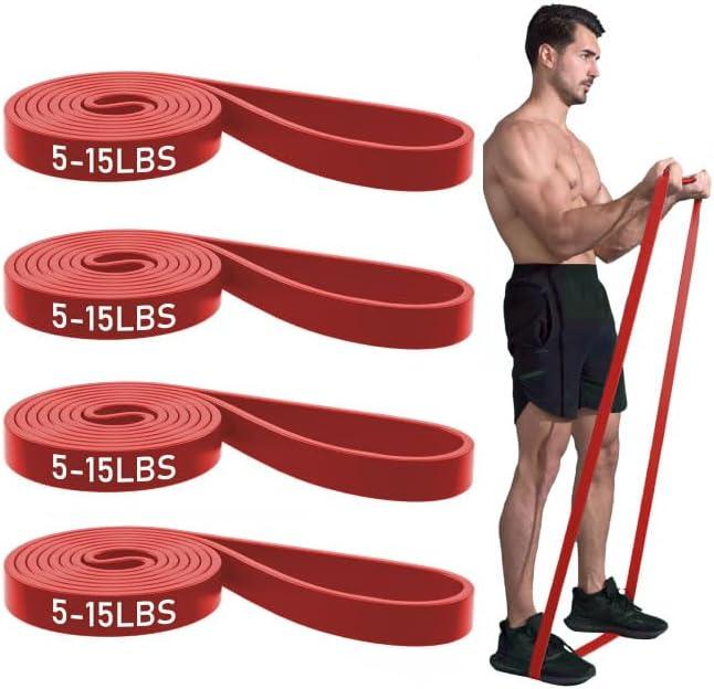 Pull Up Bands, Resistance Bands, Pull Up Assistance Band Exercise Bands for Men & Women Working Out, Body Stretching, Physical Therapy, Muscle Training (Dark Red)