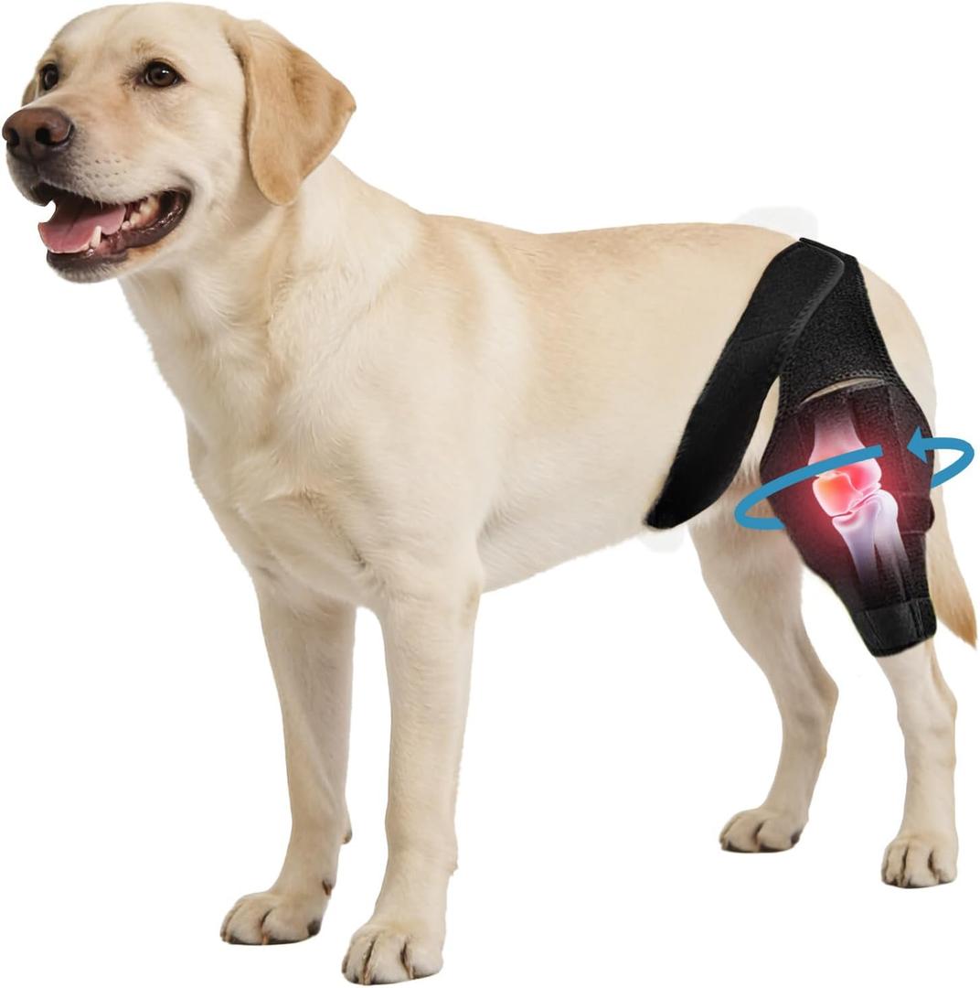 Dog Knee Brace for Torn ACL/CCL & Hind Leg Support - Adjustable Brace for Arthritis Relief, Joint Stability & Injury Recovery - Fits Small & Medium Dogs