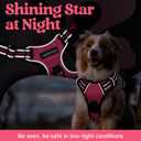 rabbitgoo Dog Harness for Large Dogs, No Pull Pet Vest with 3 Buckles, Adjustable Soft Padded Pet Harness with Easy Control Handle and Reflective Strips, Pink, L