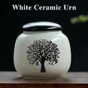 Small Urns for Human Ashes Keepsake - Mini Urns for Human Ashes - Cremation Urn for Male and Female - Keepsake Decorations for Cremation, Funeral, Burial, Home