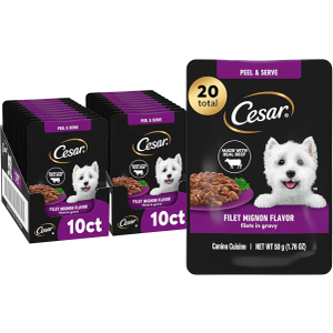 Cesar Filets in Gravy Wet Dog Food Filet Mignon Flavor, 1.76 oz. Mini-Pouch (20 Count, Pack of 1), Best By: 06/15/2027