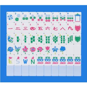 American Mahjong Tile Set with Carrying Bag and Accessories, 160 Acrylic Engraved Mahjong Tiles(Light Blue