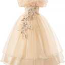 Flower Girl Dresses Lace Embroidery Off The Shoulder Tulle Dress Communion Pageant Wedding Dance Gown (XXL)