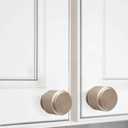 10 Pack Champagne Bronze Round Brushed Aluminum Cabinet Knobs (1.1 x 1 x 0.78 inches, 10 Count)
