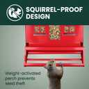 Perky-Pet Squirrel-Be-Gone II Country House Bird Feeder with Weathervane - 8 lb Seed Capacity - Squirrel Proof Wild Bird Feeder for Outdoors - Durable Construction - Rustic Outdoor Decor - 338, Red