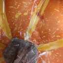 Ywlake 12 Pcs Artificial Pumpkins Fall Decorations, Mini Small Fake Pumpkin for Autumn Harvest Halloween Thanksgiving Faux Pumpkins Home Table Decor (Orange)