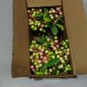 SHACOS Artificial Pink Berry Stems 20 PCS Fake Berries Branches Spray with Green Leaves 9.8 inch Small Berry Picks for Christmas Decorations Crafts Filler Holiday Home Decor, Pink