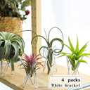 4 Packs Airplant Plants Holder Metal Base Geometric Air Plants Stand Tabletop Air ferns Planter Rack White Tillandsia Display Containers Himmeli Decor .