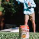 Waterloo Sparkling Water, Peach Naturally Flavored, 12 Fl Oz Cans (Pack of 12)  Zero Calories and Zero Sugar or Sweeteners