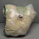 HollyHOME Big Teddy Bear Large Teddy Bear Stuffed Animal Birthday Valentines Day Plush for Kids and Girlfriend 36 inch Beige