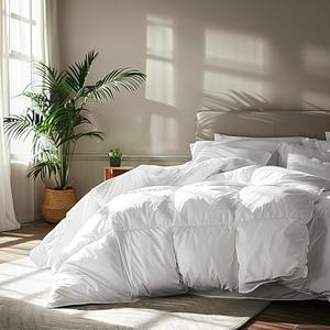  Serta Goose Feather Down Fiber Cotton Comforter Queen Size - 100% Cotton Duvet Insert - Hotel Luxury Hypoallergenic Bedding Comforter Light Warmth 90 x 90 Inch White : Home & Kitchen
