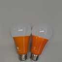 2 Pack BlueX LED A21 Orange Light Bulbs - 13W (100Watt Equivalent) - E26 Base LED Bulb, Party Decoration, Porch, Home & Holiday Lighting, Decorative Illumination