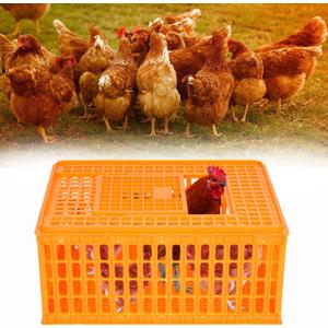 lukar 1 Piece Poultry Carrier Crate Plastic Chicken Transport Cage Heavy Duty Chicken Crates Transport Box for 10-13 Adult Chickens Duck Goose Birds, 29.5 x 21.7 x 13 Inch