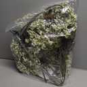 Zeyune 3 Pcs Spring Green Faux Berry Stem Realistic Sedum Stem Spray Artificial Flowers Picks Branches Fake for Wedding Holiday Seasonal Farmhouse Mantel Harvest DIY Home Decorations