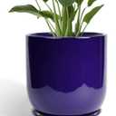 Ceramic Planter - 12 Inch Pots for Plants Ceramic Plant Pot Indoor with Drainage Hole and Saucer Large Planter Flower Pot Outdoor for Home Garden Decor Blue