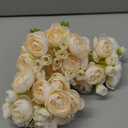 Floroom Ranunculus Artificial Flowers 18 Pcs Champagne Faux Silk Mini Ranunculus Bulk Fake Wedding Filler Flowers for DIY Cream Bouquets, Centerpieces, Bridal Shower Decorations & Arrangements