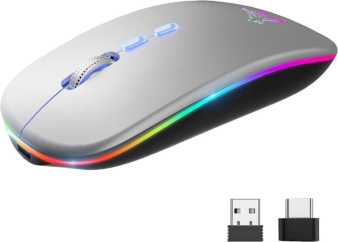HOTLIFE LED Wireless Mouse, Slim Rechargeable Silent Bluetooth Mouse, Portable USB Optical 2.4G Wireless Bluetooth Two Mode Computer Mice with USB Receiver and Type C Adapter(Silver)