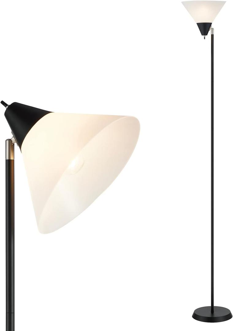 HonoDing Floor Lamp Standing Lamp Adjustable Head Arcylic Shade Floor Lamps for Living Room/Office/Bedroom (Black)