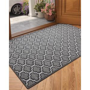 Color&Geometry Door Mat Indoor Entrance 36"x60", Front Door Mat Indoor Rugs for Entryway Non Slip Washable Low-Profile Entryway Rugs Entry Mat Rug Doormat, Grey(Rolled-up NO Creases) (3'x5' (Rectangular))