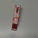 Lionheart Pink Dog Collar - Soft, Durable, Adjustable for Large Dogs (Large (Pack of 1, Peach)