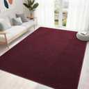 5x7 Feet Red Area Rugs for Bedroom, Indoor Washable Memory Foam Rug for Living Room, Modern Aesthetic Minimalist Non-Slip Carpets for Kids Boys Girls Adults Dorm Home Decor