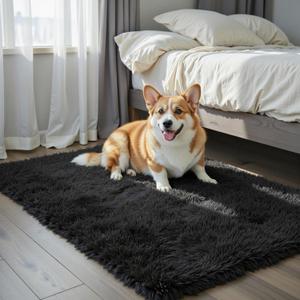 Small Area Rugs 2x3 Feet, Black Rug for Bedroom Dorm, Modern Shag Bedroom Mat, Small Carpet, Fluffy Bedside Rug for Girls Dorm Room Home Decor(2 x 3, Black)