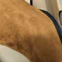 Coutgo Womens Booties Low Heel Ankle Boots Square Pointed Toe Chunky Heel Side Zipper Dressy Fall Boots Shoes (8, Brown)