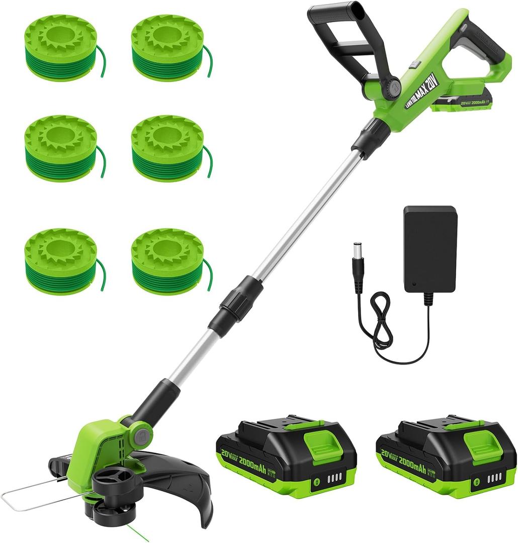 VARSK 12 Inch 20V Cordless Weed Wacker with Automatic Line Feed, 2 in 1 String Trimmer and Edger, Includes 2 X 2.0Ah Batteries/1 X Charger/6 X Replacement Spools, Weed Eater for Lawn, Garden, etc