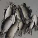 Liliful 23 Pcs Fake Fish Artificial Realistic Toys Stuffed Foam Faux Sea Fish Including Big and Small for Home Decoration Aquarium Display Ornaments Stage Drama Photography Prop Prank Prop