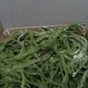 9FT Christmas Garland with LED String Lights, Norfolk Pine Garlands, Real Touch, Artificial Greenery Garland, Waterproof for Indoor&Outdoor, Fireplace, Banister, Wall,Christmas Holiday Decor