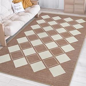 8x10 Washable Area Rug for Living Room Bedroom, Checkered Rug Non-Slip Fuzzy Fluffy, Indoor Modern Carpe for Home Aesthetic Decor