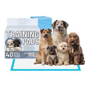 Training Pads 40 XXXL PADS