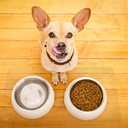 Clear Pet Bowl Mat, USA Made, Safe, Waterproof, 14 x 21 Inch, 2mm Thick Smooth Vinyl, Cat & Dog Cage Floor Mat