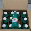 Prang Ready-to-Use Washable Tempera Paint, 16-Ounce Bottle, Green (10704), Pint (Pack of 12)