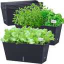 Window Box Planter 6 Pcs, 16.5 Inches Self Watering Rectangle Flower Plant Pots with Drainage Holes Trays, Vegetable Planters for Windowsill Patio Garden Balcony Porch Yard (Black)