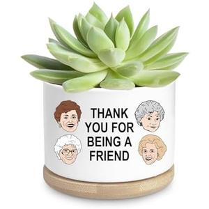 Friend Gifts for Women, Funny Succulent Planter, Flower Cactus Plant Pot, Friendship Gifts for Friend Bestie Sister Birthday, Thank You for Being a Friend Golden Girls Merchandise (Plant Not Included)