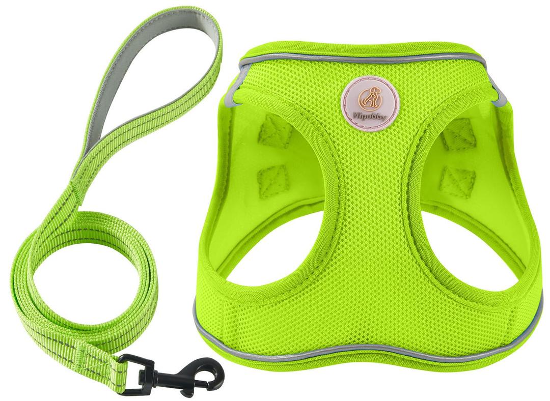 Hipubby Dog Harness and Leash Set, No Pull Soft Mesh Puppy Harness for Small Medium Dogs, Cats - Step in Reflective Breathable Lightweight Vest Harness for Walking, Training - Bright Green, M
