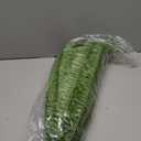 Velener Artificial Staghorn Fern Plants Without Pot-20.9 Inches, Unique Waterproof Faux Staghorn Fern for Garden, Fall Autumn Decoration 