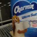 Charmin Ultra Soft Cushiony Touch Toilet Paper, 24 Family Mega = 123 Regular Rolls, White