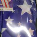 In the Breeze 3354  22" Patriot Dancing Dragon Kite  Easy Flying Single Line Kite